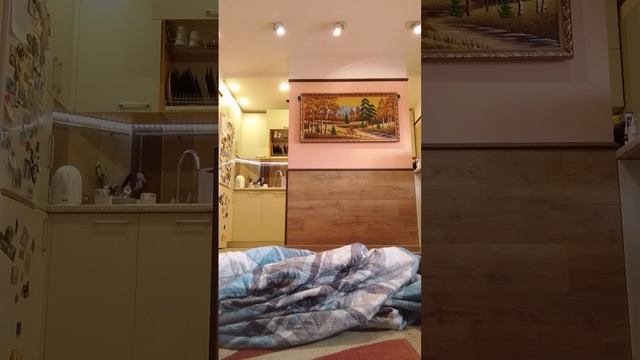 3 ФОКУСА🌠🩷🩵🩶❤🧡💛💚💙💜🖤🤍 смотреть онлайн