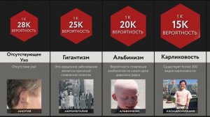 Сравнение_ Мутации Тела