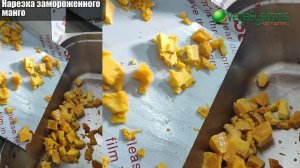 Машина для нарезки кубиками Vega Meat Dicer 500