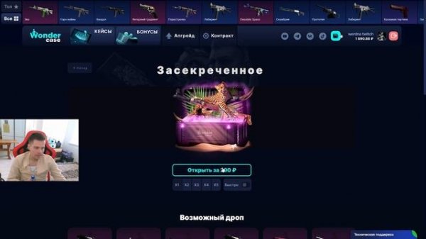 ЧТО ЛУЧШЕ ОКУПАЕТ НА СТАНДАРТНЫХ КЕЙСАХ? WONDER CASE ИЛИ CASE