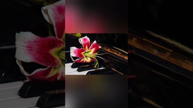Произведение Баталовой Амелии . 🎹🎼Полёт фантазии . Видео Баталовой Елены . смотреть онлайн
