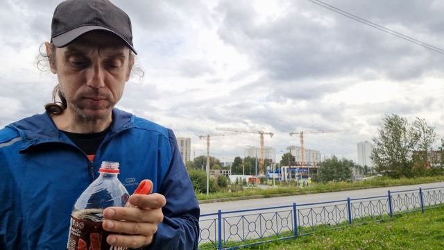 Колбаски Копчетто, багет Лента с сыром и петрушкой и Л?