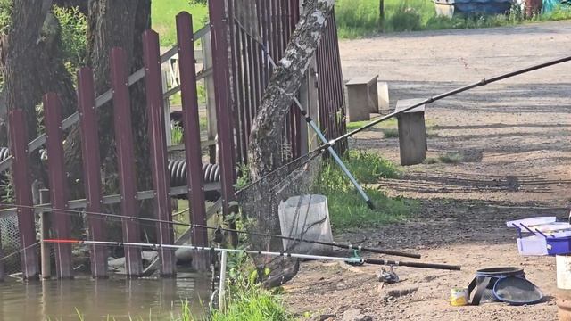 06.06.25 г. Парк отдыха водопад смотреть онлайн