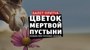 Обзор сценической практики Школы балета Гармония. Спектакль "Цветок мертвой пустыни" на Мосфильме