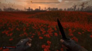 Странный цветок на маковом поле STALKER 2