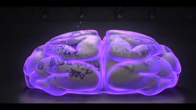 Стрей кидс клип песни 