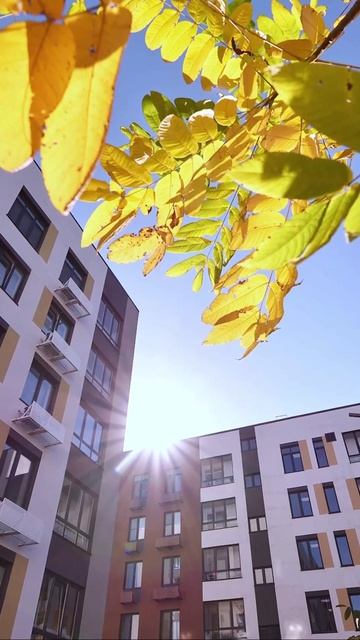 🌸 ЖК «Цветы Башкирии» — жизнь, в которой хочется улыбаться смотреть онлайн