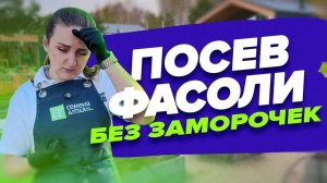 ПРОСТОЙ СПОСОБ ПОСЕВА ФАСОЛИ