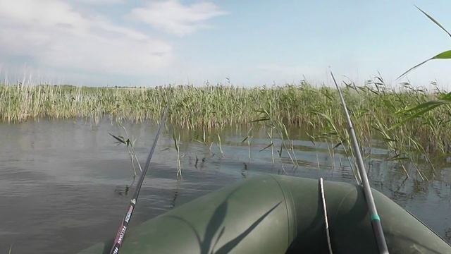 карася с лодки 05.06.25