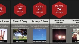 Зрение Человека