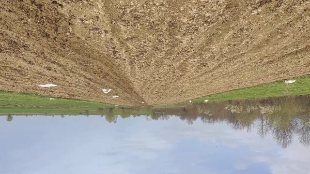 18 квітня 2025 р.Посадка бульби.Земля перевертом від тако