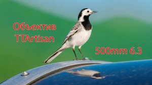 Обзор TTArtisan 500mm 6.3 ED IF