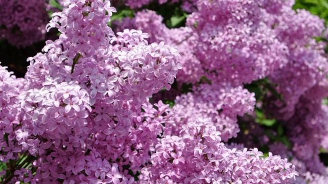 Забыв дома телефон, Таня уличила мужа в измене. В ближа