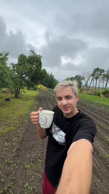 Доброе утро