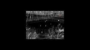 Тепловизионный Прицел SFH VARG L25.САМЫЙ БЮДЖЕТНЫЙ ТЕПЛОВИ