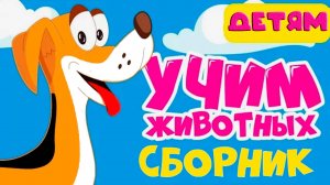 ЖИВОТНЫЕ АВСТРАЛИИ - ЖИВОТНЫЕ АЗИИ - ЖИВОТНЫЕ СЕВЕРА - Развивающий мультик для детей