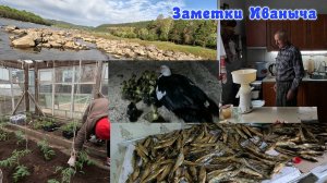 Неизданное: майские дела. Заморозки.