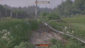 Kingdom Come Deliverance 2 : Карта сокровищ Желеевских болот.