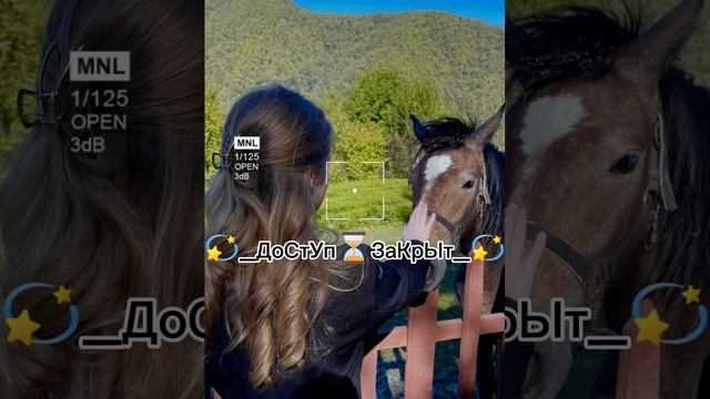 🌸Новая цыганская песня 2025🌸 смотреть онлайн