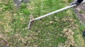 ГАЗОН ВЕСНОЙ.УХОД ЗА ГАЗОНОМ ВЕСНОЙ.САМЫЕ ВАЖНЫЕ РАБОТЫ НА ГАЗОНЕ. САД и ОГОРОД.