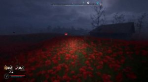 Stalker 2 Незвичайний артефакт на Маковому Полі + Схрон