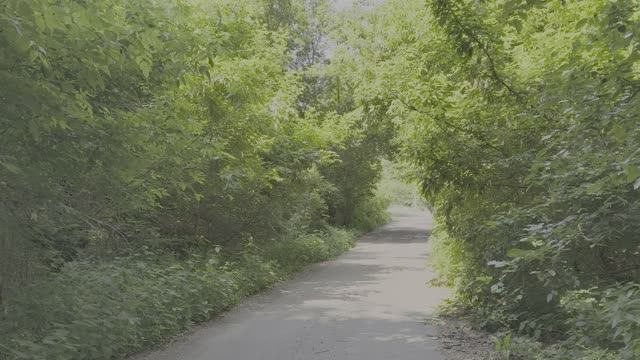 4K 30fps HDR10PLUS Smpte2084 | ЛЕС В Станице-Луганской Области.