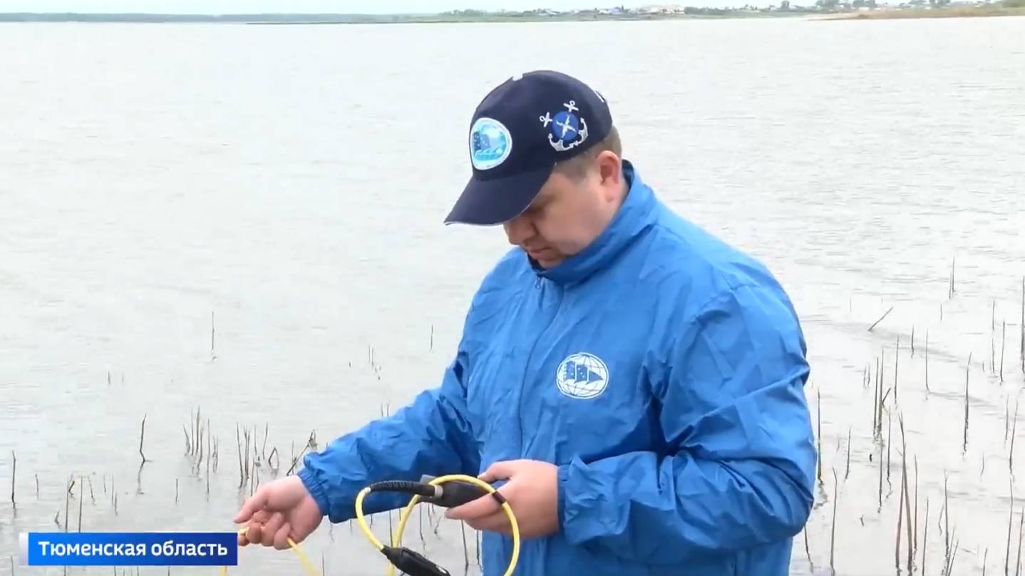 Гибриды смотреть онлайн