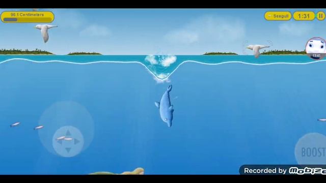 дельфин всё жрёт *Tasty Blue* смотреть онлайн