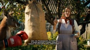 Кенгуру боксёр и бабка тренер