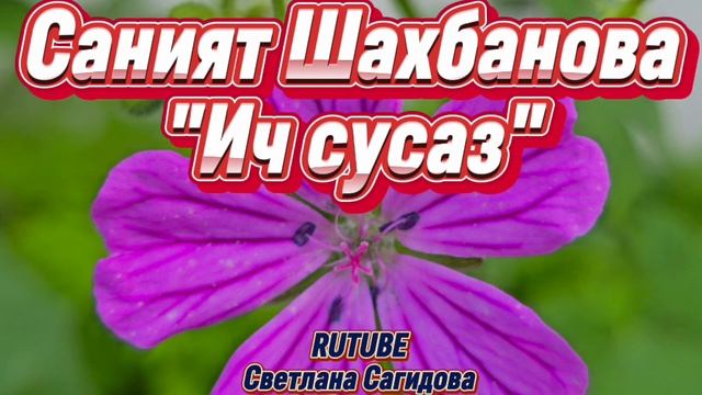 Саният Шахбанова _Ич сусаз.mp4 смотреть онлайн