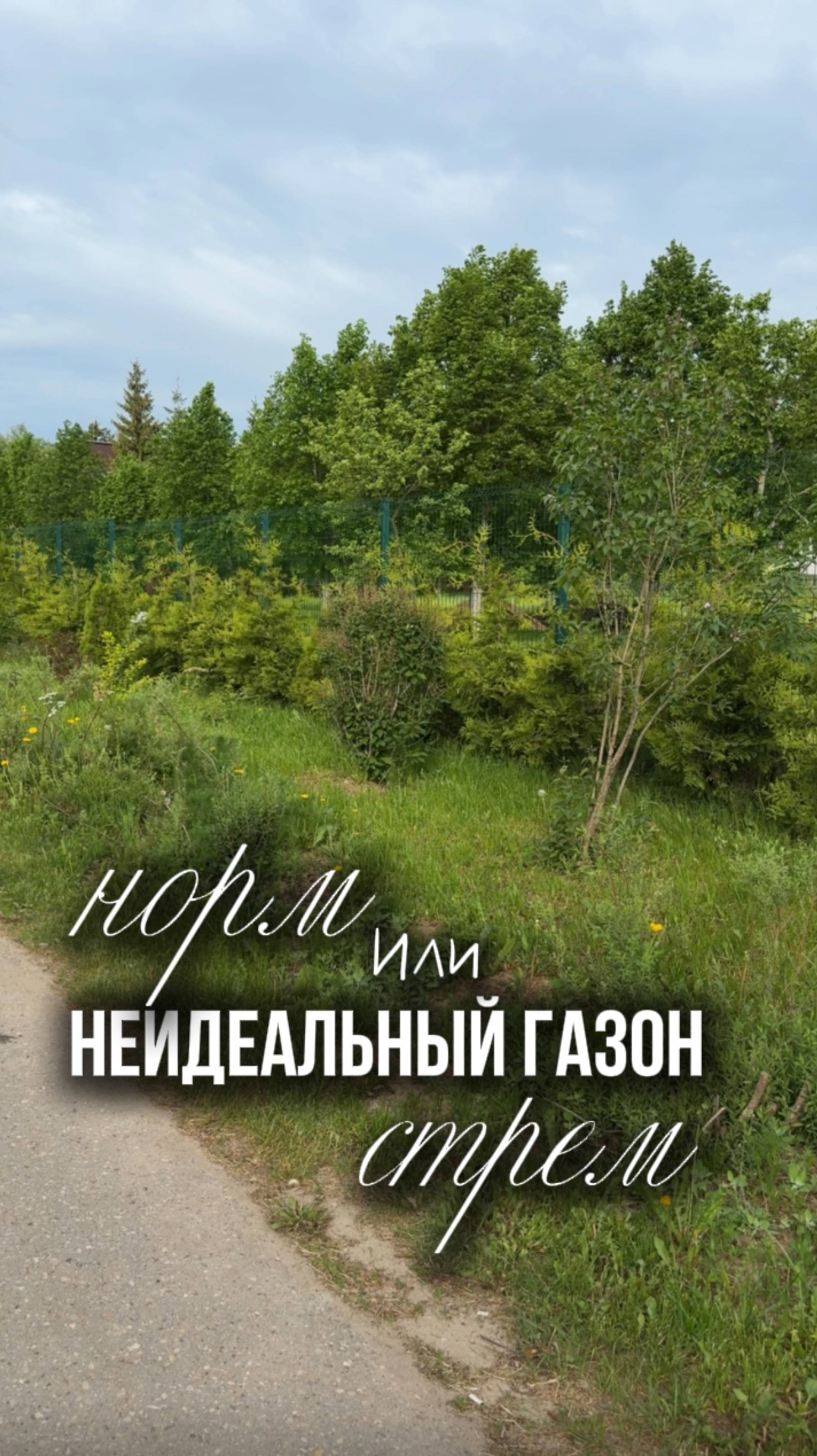 Обязательно ли иметь в саду идеальный газон? смотреть онлайн