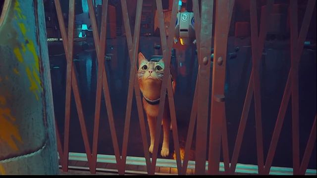 Stray про кота смотреть онлайн