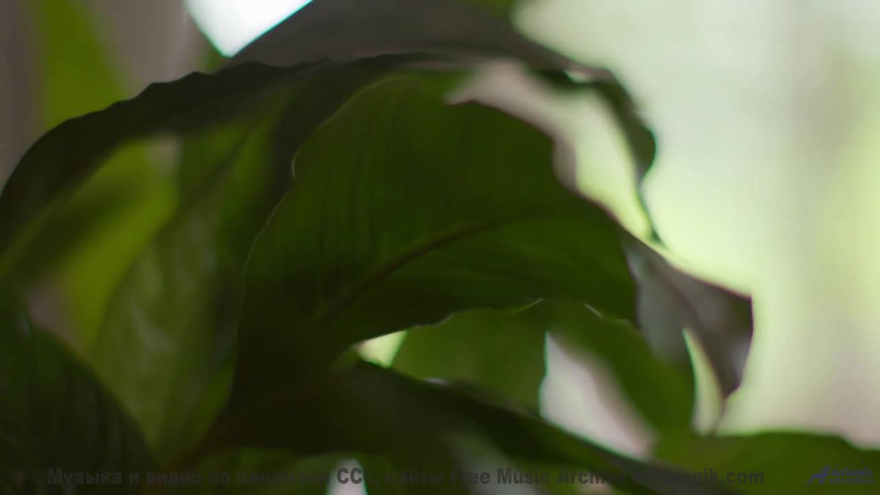 Музыка превращает путешествие в личный фильм - Unconscious -- Selfpity -- Unhappy Thoughts