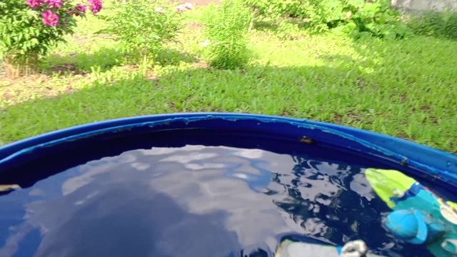 топим корабль из пластилина смотреть онлайн