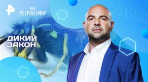 Дикий закон — Как устроен мир с Тимофеем Баженовым (06.06.2025)
