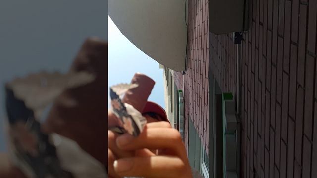 закупился в кавычках смотреть онлайн