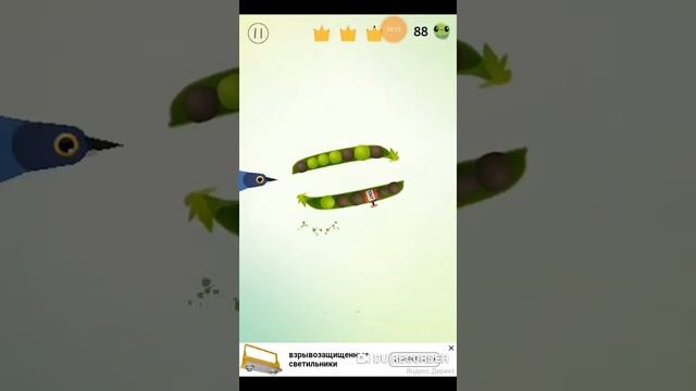 Побег гороха