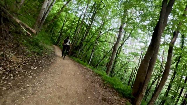 Кисловодский национальный парк! #Кисловодск #велопрог