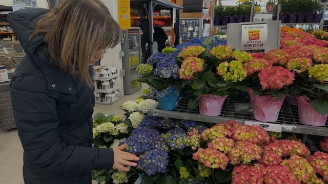 Шоппинг | Цветы и деревья для участка | Классные товары