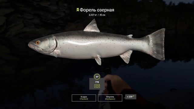 #44 ПРИБЫЛИ НА ОСТРОВ, ГОЛЕЦ КУОРСКИЙ, И ПРО ПРЕМ ▶ Русс? смотреть онлайн