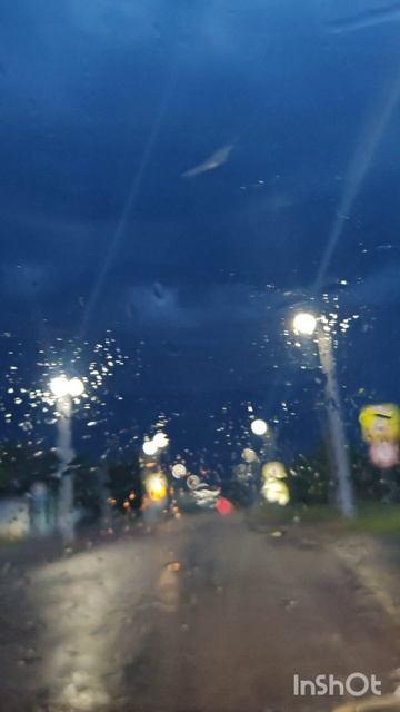 #МаленькиеПриключенияАлисы Природа Дождь Погода