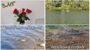 #124 Выходной с семьёй 👍 Отличная прогулка, все довольны! Весь день в огороде. Работы очень много