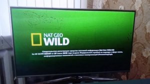 ЗАСТАВКА СМИ КАНАЛА NAT GEO WILD СВИДЕТЕЛЬСТВО О РЕГИСТРАЦ?
