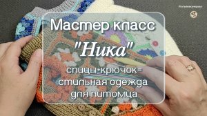 Мастер-класс «Ника»: Спицы + Крючок = Стильный образ для питомца! 🐶✨