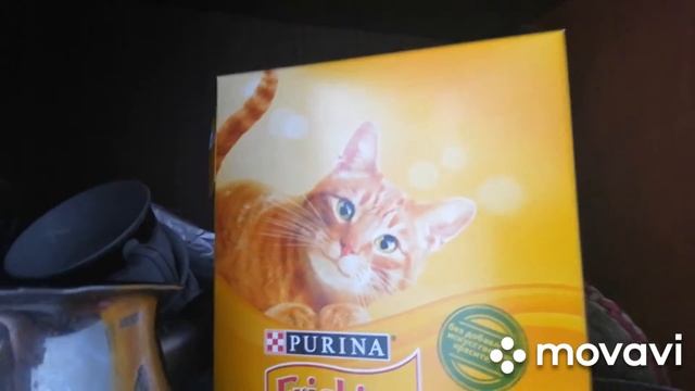 ВЛОГ//хороший борщ//сковорода //новое средство для посу смотреть онлайн