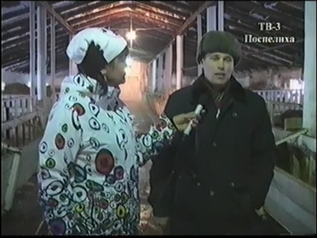 зимовка животноводства п.Поспелихинский 2012г