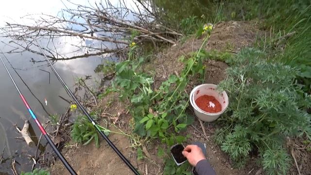 Рыбалка 2025, Открытие Сезона Ловли На Поплавок, Клев Ка?