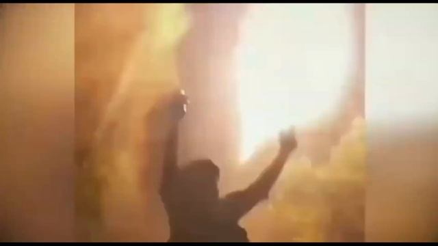 Два белых крыла - Надежда Гуськова