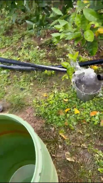 Отзыв из  Абхазии