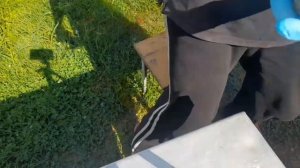 НЮАНСЫ ПРИ ВЫРАЩИВАНИИ ТРИХОДЕРМЫ на перловке.